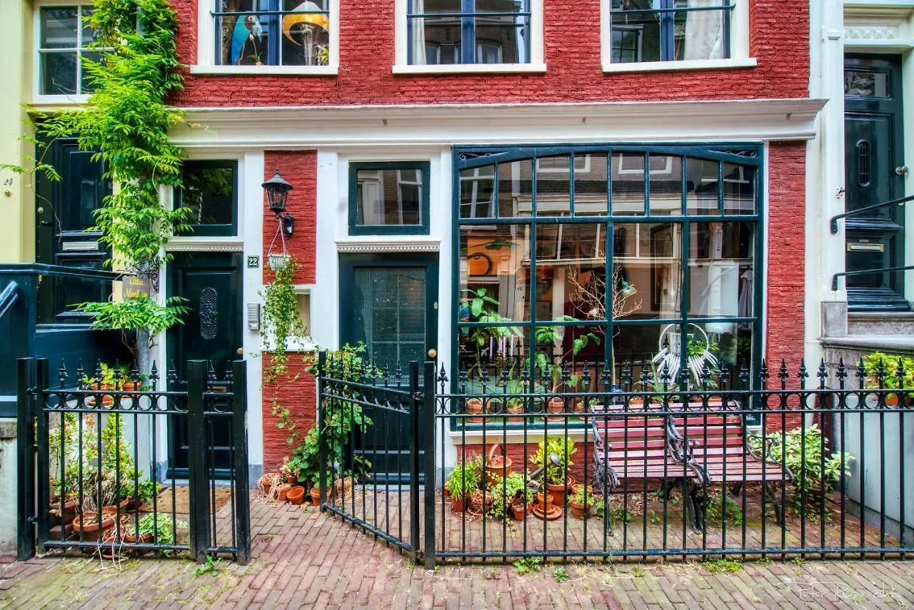 Attic Monkeys Lodge Amsterdam Bed & Breakfast