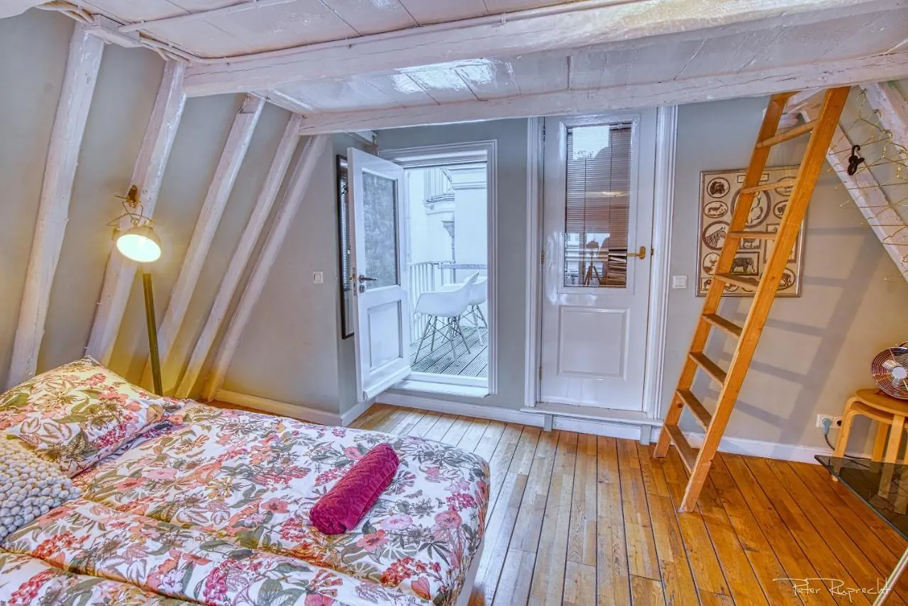 ** Panzió Attic Monkeys Lodge Amszterdam Hollandia